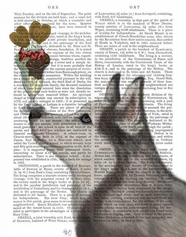 Husky Ice Cream White Modern Wood Framed Art Print with Double Matting by Fab Funky