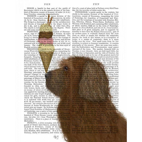 Labradoodle, Brown, Ice Cream White Modern Wood Framed Art Print by Fab Funky