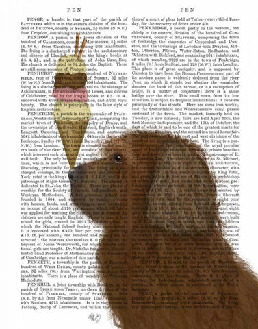 Labradoodle, Brown, Ice Cream White Modern Wood Framed Art Print with Double Matting by Fab Funky