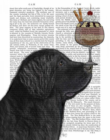 Newfoundland Ice Cream Black Ornate Wood Framed Art Print with Double Matting by Fab Funky