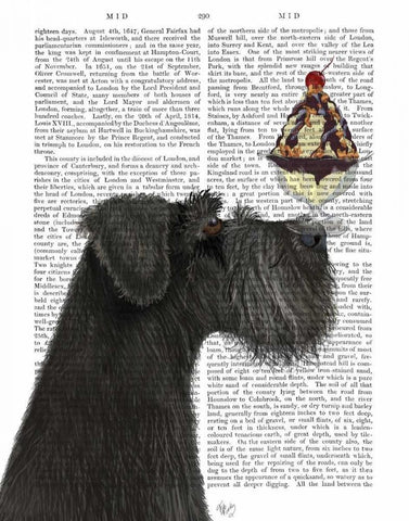 Schnauzer, Black, Ice Cream White Modern Wood Framed Art Print with Double Matting by Fab Funky