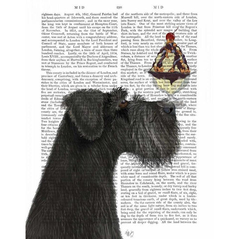 Schnauzer, Black, Ice Cream Black Modern Wood Framed Art Print with Double Matting by Fab Funky