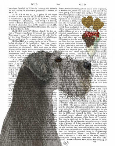 Schnauzer, Grey, Ice Cream Black Ornate Wood Framed Art Print with Double Matting by Fab Funky