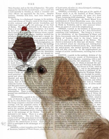 Shih Tzu Ice Cream White Modern Wood Framed Art Print with Double Matting by Fab Funky