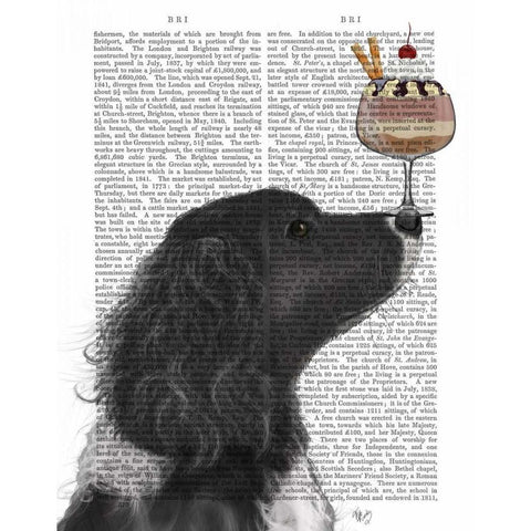 Springer Spaniel, Black, Bebe,Ice Cream Black Modern Wood Framed Art Print with Double Matting by Fab Funky