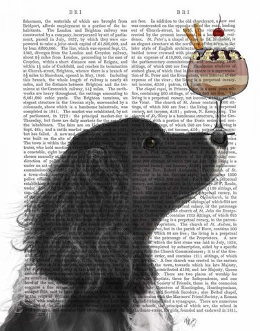 Springer Spaniel, Black, Bebe,Ice Cream White Modern Wood Framed Art Print with Double Matting by Fab Funky