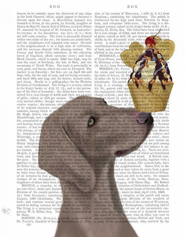 Weimaraner Ice Cream White Modern Wood Framed Art Print with Double Matting by Fab Funky