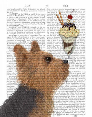 Yorkshire Terrier Ice Cream White Modern Wood Framed Art Print with Double Matting by Fab Funky