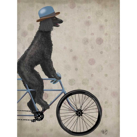 Poodle on Bicycle, Black Black Modern Wood Framed Art Print with Double Matting by Fab Funky