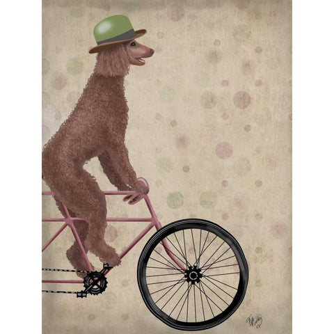 Poodle on Bicycle, Brown White Modern Wood Framed Art Print by Fab Funky