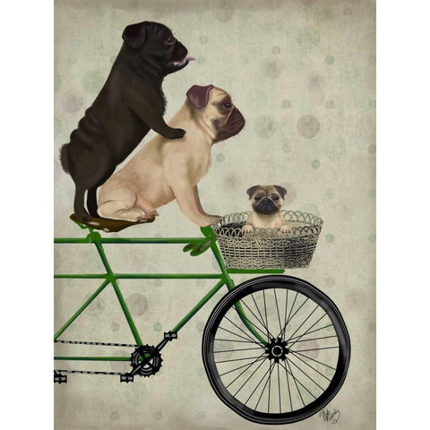 Pugs on Bicycle Black Modern Wood Framed Art Print with Double Matting by Fab Funky