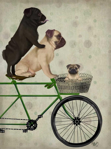 Pugs on Bicycle White Modern Wood Framed Art Print with Double Matting by Fab Funky