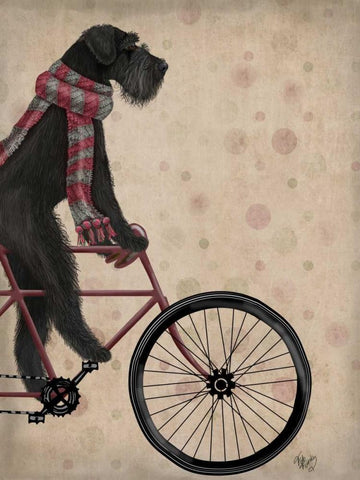 Schnauzer on Bicycle, Black Black Ornate Wood Framed Art Print with Double Matting by Fab Funky