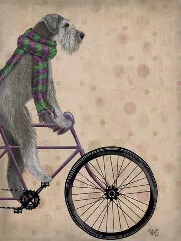 Schnauzer on Bicycle, Grey White Modern Wood Framed Art Print with Double Matting by Fab Funky