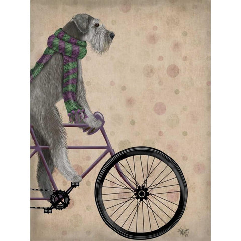 Schnauzer on Bicycle, Grey Gold Ornate Wood Framed Art Print with Double Matting by Fab Funky