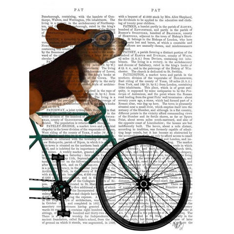 Basset Hound on Bicycle Gold Ornate Wood Framed Art Print with Double Matting by Fab Funky