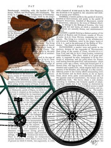 Basset Hound on Bicycle Black Ornate Wood Framed Art Print with Double Matting by Fab Funky