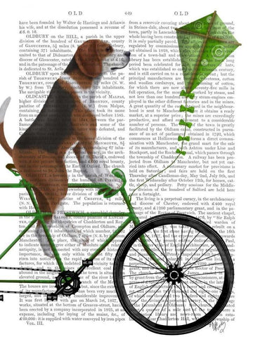 Beagle on Bicycle White Modern Wood Framed Art Print with Double Matting by Fab Funky