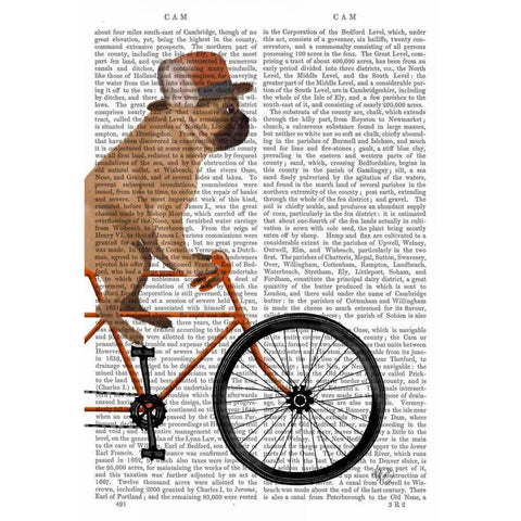 French Bulldog on Bicycle Gold Ornate Wood Framed Art Print with Double Matting by Fab Funky