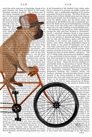 French Bulldog on Bicycle Black Ornate Wood Framed Art Print with Double Matting by Fab Funky