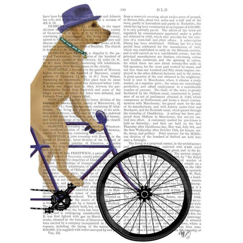 Yellow Labrador on Bicycle Black Modern Wood Framed Art Print with Double Matting by Fab Funky