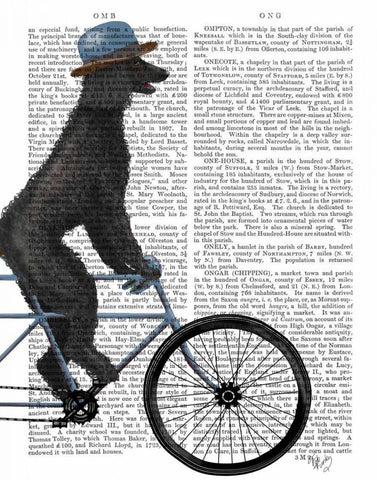 Poodle on Bicycle, Black White Modern Wood Framed Art Print with Double Matting by Fab Funky