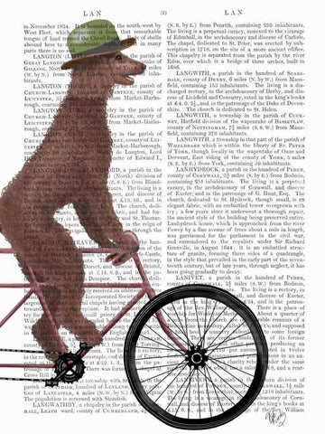 Poodle on Bicycle, Brown Black Ornate Wood Framed Art Print with Double Matting by Fab Funky