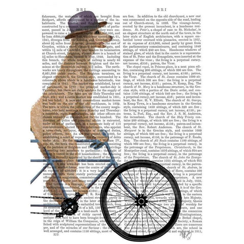 Poodle on Bicycle, Cream Gold Ornate Wood Framed Art Print with Double Matting by Fab Funky