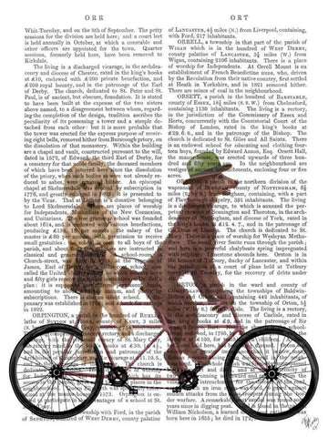 Poodle Tandem White Modern Wood Framed Art Print with Double Matting by Fab Funky