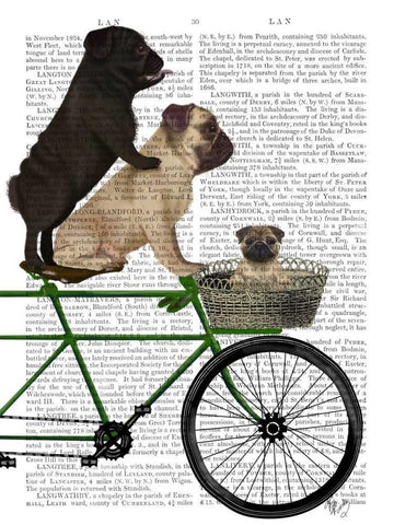 Pugs on Bicycle Black Ornate Wood Framed Art Print with Double Matting by Fab Funky