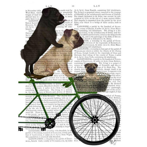 Pugs on Bicycle Black Modern Wood Framed Art Print with Double Matting by Fab Funky