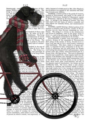 Schnauzer on Bicycle, Black Black Ornate Wood Framed Art Print with Double Matting by Fab Funky