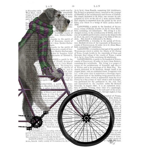 Schnauzer on Bicycle, Grey Black Modern Wood Framed Art Print with Double Matting by Fab Funky