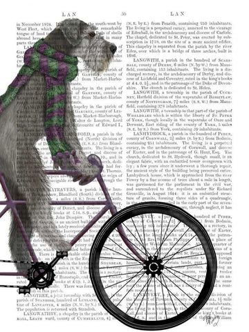 Schnauzer on Bicycle, Grey Black Ornate Wood Framed Art Print with Double Matting by Fab Funky