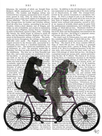 Schnauzer Tandem White Modern Wood Framed Art Print with Double Matting by Fab Funky