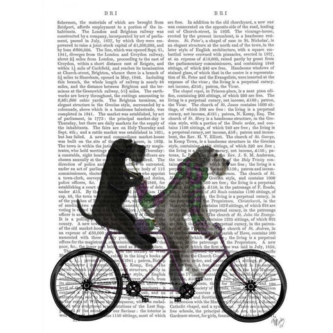 Schnauzer Tandem White Modern Wood Framed Art Print by Fab Funky