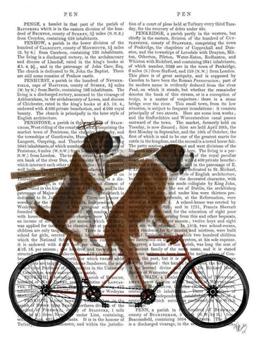 St Bernard Tandem White Modern Wood Framed Art Print with Double Matting by Fab Funky