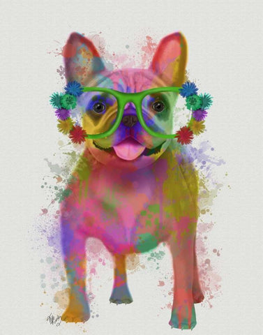 Rainbow Splash French Bulldog, Full Black Ornate Wood Framed Art Print with Double Matting by Fab Funky