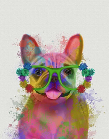 Rainbow Splash French Bulldog, Portrait Black Ornate Wood Framed Art Print with Double Matting by Fab Funky