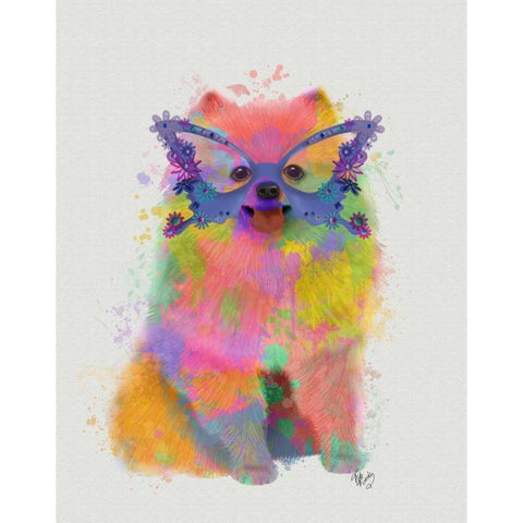 Rainbow Splash Pomeranian Black Modern Wood Framed Art Print with Double Matting by Fab Funky