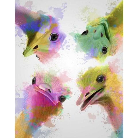 Rainbow Splash Four Ostriches Gold Ornate Wood Framed Art Print with Double Matting by Fab Funky