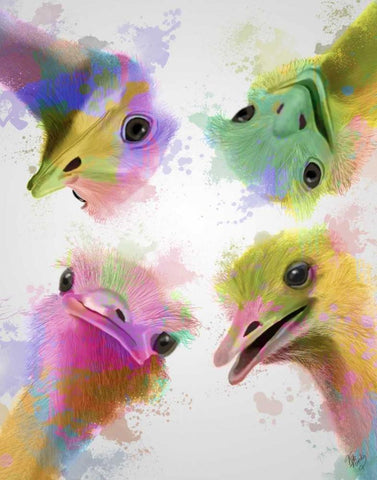 Rainbow Splash Four Ostriches White Modern Wood Framed Art Print with Double Matting by Fab Funky