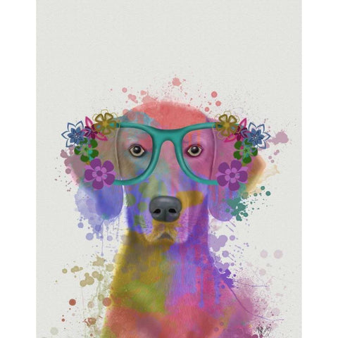 Rainbow Splash Weimaraner, Portrait White Modern Wood Framed Art Print by Fab Funky