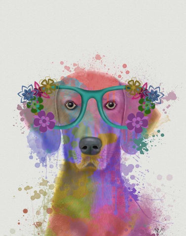 Rainbow Splash Weimaraner, Portrait White Modern Wood Framed Art Print with Double Matting by Fab Funky