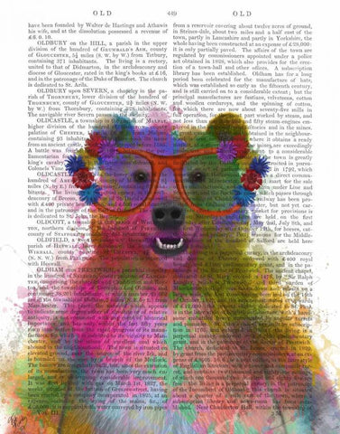 Rainbow Splash Bear Black Ornate Wood Framed Art Print with Double Matting by Fab Funky