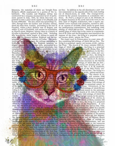 Rainbow Splash Cat 1 Black Ornate Wood Framed Art Print with Double Matting by Fab Funky