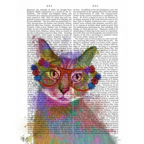 Rainbow Splash Cat 1 White Modern Wood Framed Art Print by Fab Funky