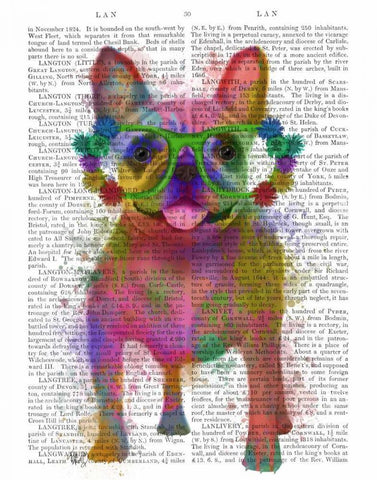 Rainbow Splash French Bulldog, Full Black Ornate Wood Framed Art Print with Double Matting by Fab Funky