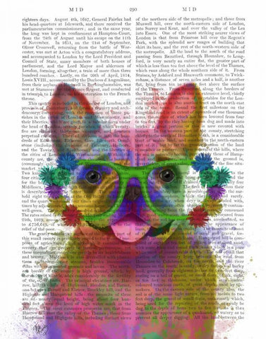 Rainbow Splash French Bulldog, Portrait Black Ornate Wood Framed Art Print with Double Matting by Fab Funky