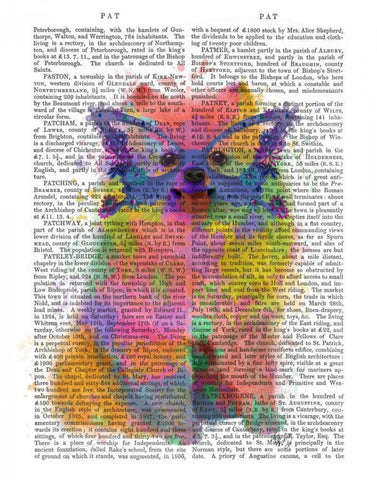 Rainbow Splash Pomeranian White Modern Wood Framed Art Print with Double Matting by Fab Funky